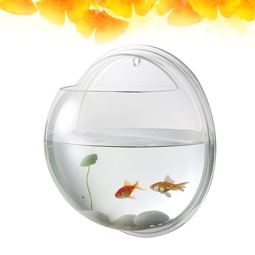 Betta fish tank - tank, appendere