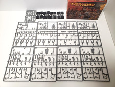 Marauders of Chaos Regiment