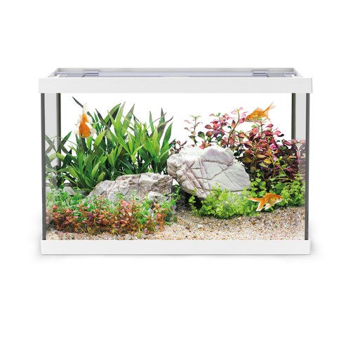 Aqpet one mini acquario - one,