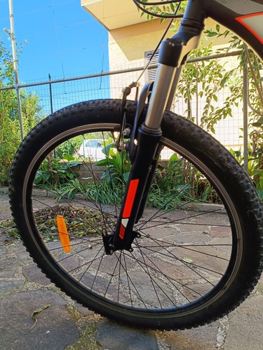 Mountain bike - mountain,