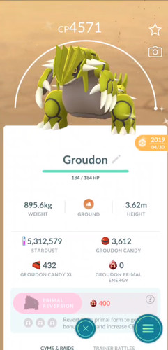 Pokemon✨Groudon