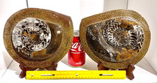 Pair of Large Similar