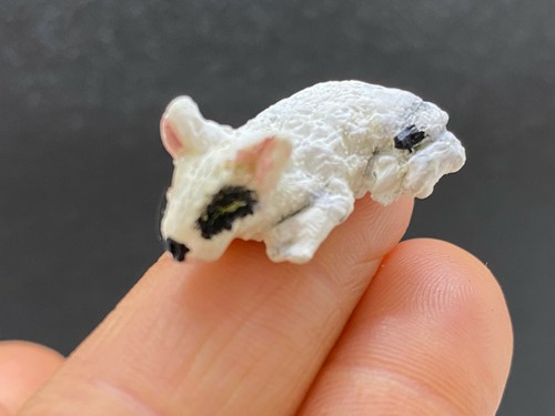 Animali domestici miniatura - domestici,
