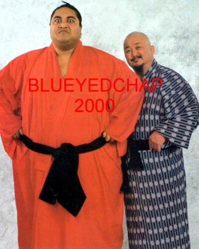 Fuji yokozuna wrestler 8 - &,