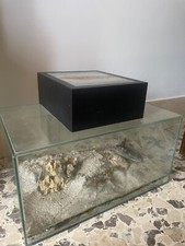 Acquario fluval edge lt - edge,