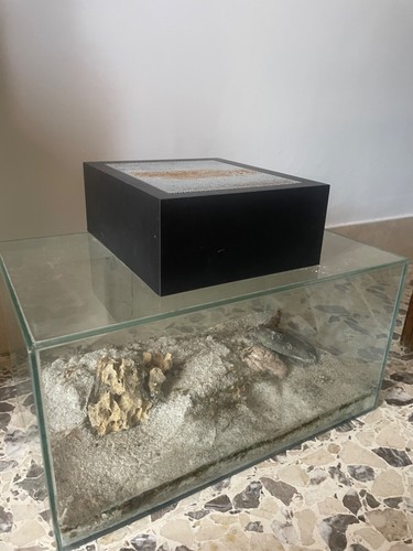Acquario fluval edge - edge, 23