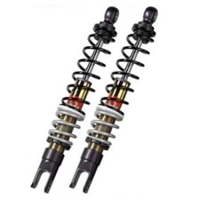 Coppia ammortizzatori