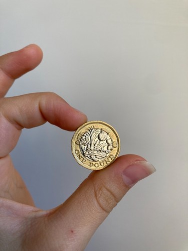 Raro one pound 2016 - -,
