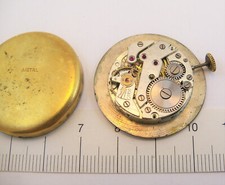 MOVIMENTO PHIGIED EXTRA ANNI