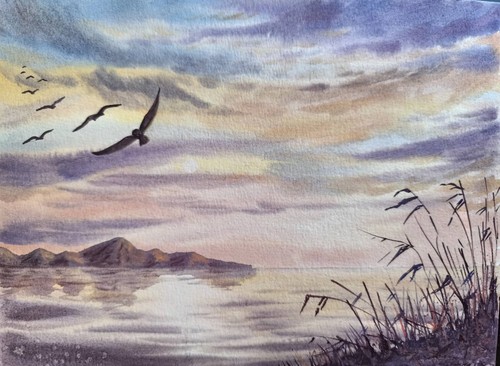 Bird cloudy sky laguna - sky, beach