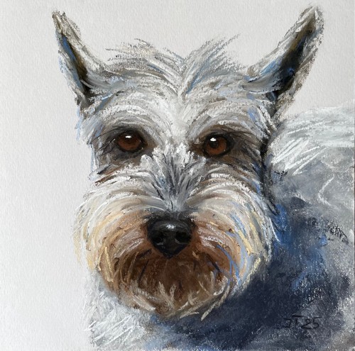 Cane terrier originale - originale, dipinto