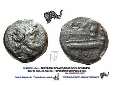 Roman Republic (Semis,Elephant's) testa di Elefante 