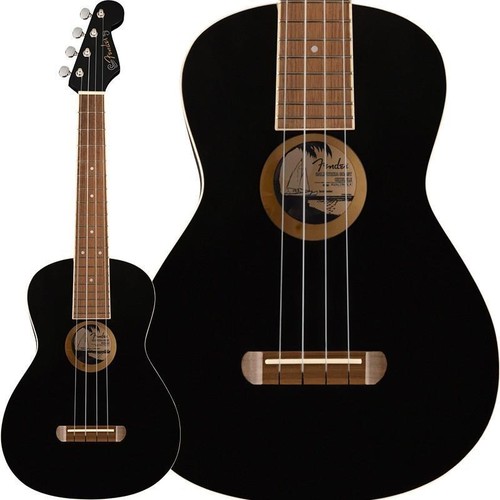 Fender acoustics classe - fender,