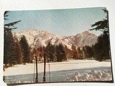 cartolina Parco di Guello