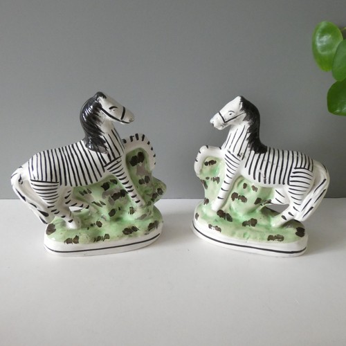 Coppia zebre vittoriane