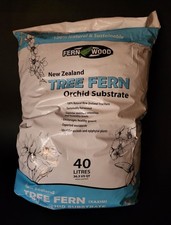 Nuova Zelanda albero felce