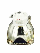 Lampadina lampada nuda