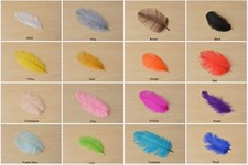 Qualità Struzzo Piuma