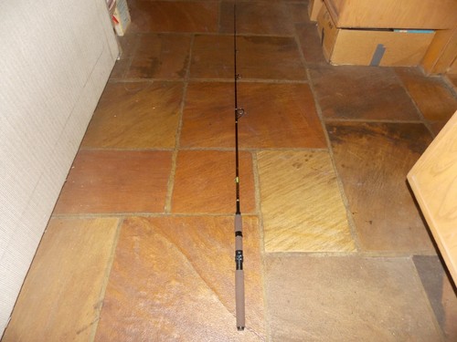 Diawa procaster canna - canna, da