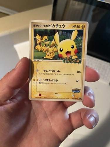Pikachu pokepark - pikachu,