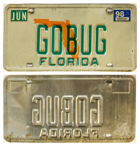 Targa gobug florida - targa, "gobug"