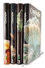 CONCHIGLIE DI TUTTI I MARI