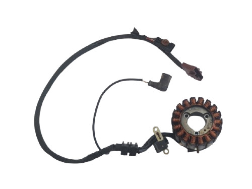 Statore magnete generatore - statore,