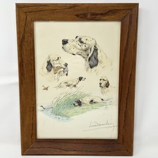 Leon Danchin acquaforte numerata firmata 1938 studio del setter inglese 180/500