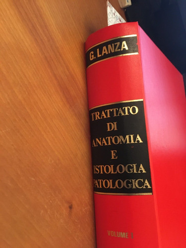 Trattato anatomia e - trattato,