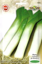 600 semi seeds porro gigante - seeds,