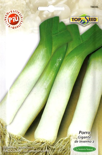 600 semi seeds porro - semi,