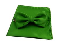 Papillon e pochette verde