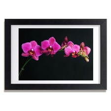 Quadro Tulup MDF incorniciato