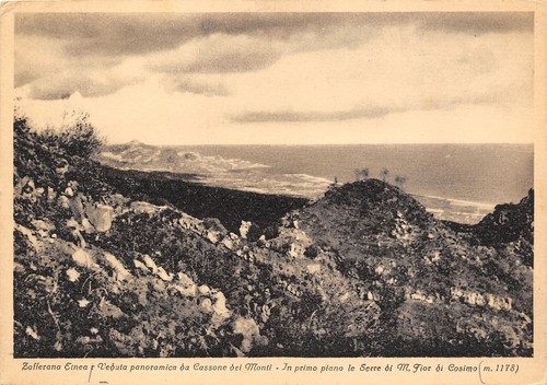 4049 zafferana etnea - 4049),