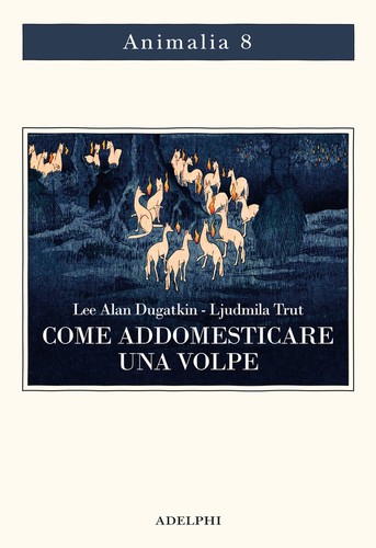 Come addomesticare una volpe - come,