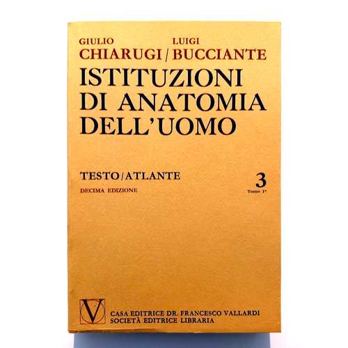 Istituzioni anatomia 3 - istituzioni, di