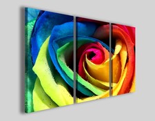 Quadri su tela Rose mix color