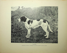 Original Vintage Print Ad