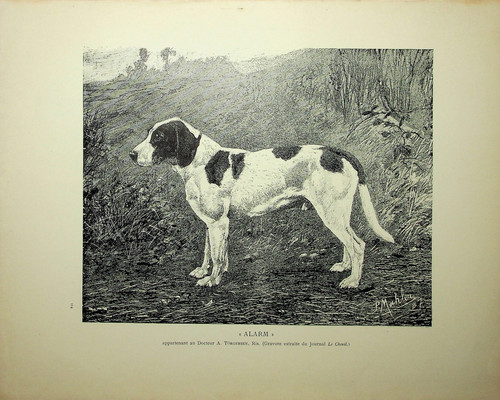 Original vintage print - original, ad