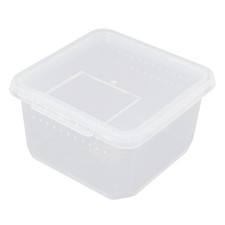  Scatola per l'allevamento di