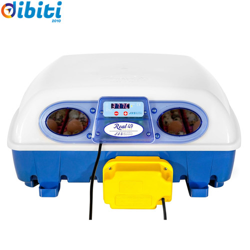 Real incubatrice per - 49, uova
