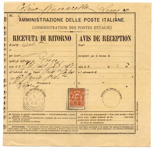 Italia avis reception - avis,