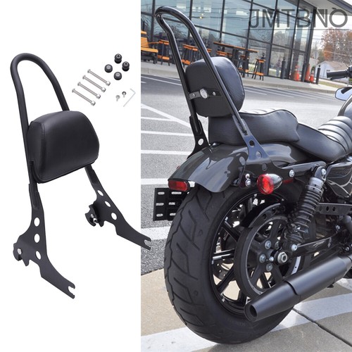 Detachable passenger sissy bar - sissy,