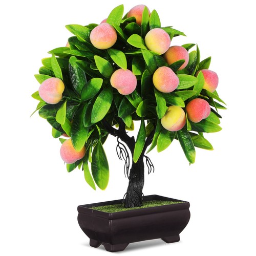 Bonsai finti mini - , finti: