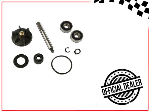 Kit revisione pompa acqua - kit,