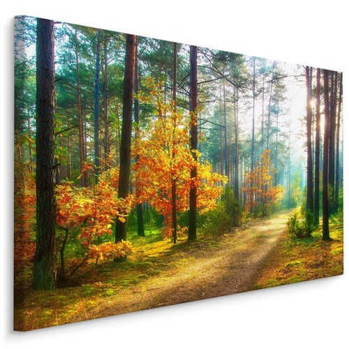 Favolosa tela quadri xxl - tela,
