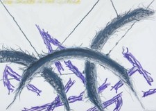  BARTOLINI LUCIANO Three