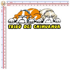 Tribu dei chihuahua transfer t-shirt tuta body bimbo cotone chiaro scuro 2 pz.