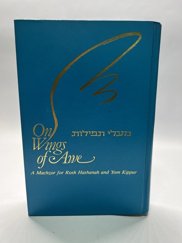 Wings awe a - wings, matzoh