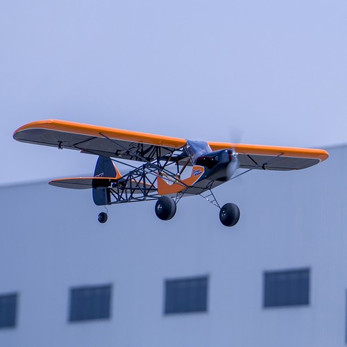 Dancing wings hobby s38 - wings, savage